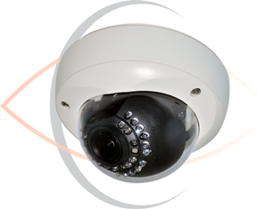 5MP IP Indoor/Outdoor Infrared Vandal Dome Security Camera with 3.5~10mm Varifocal Lens